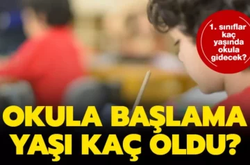 1. sınıfa başlama yaşı kaç? 2023-2024’te kaç doğumlular okula başlayacak? Kaç aylıklar okula gidebilir?